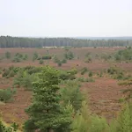 4 Person In Hovborg-by Traum