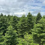 度假居 4 Person In Hovborg-by Traum *