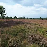 4 Person In Hovborg-by Traum 度假居 *