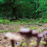4 Person In Hovborg-by Traum 度假居 Hovborg