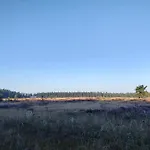 4 Person In Hovborg-by Traum 度假居 Hovborg