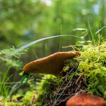 4 Person In Hovborg-by Traum Hovborg