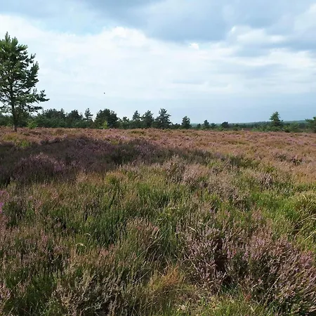 4 Person In Hovborg-by Traum Holiday home *