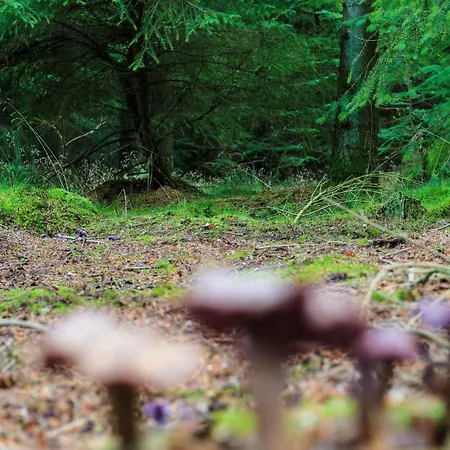 4 Person In Hovborg-by Traum Holiday home Hovborg