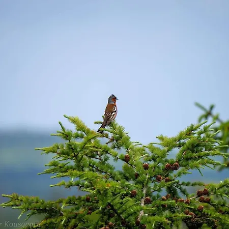 4 Person In Hovborg-by Traum Holiday home