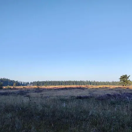 4 Person In Hovborg-by Traum Holiday home Hovborg