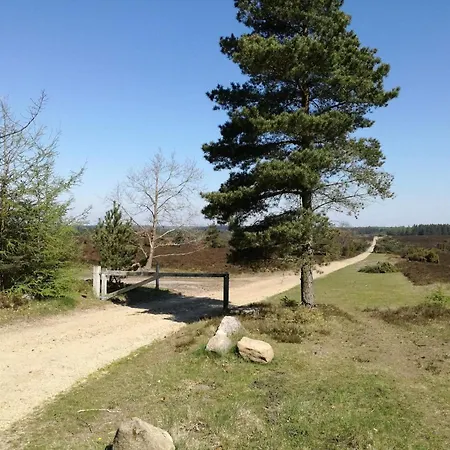 4 Person In Hovborg-by Traum