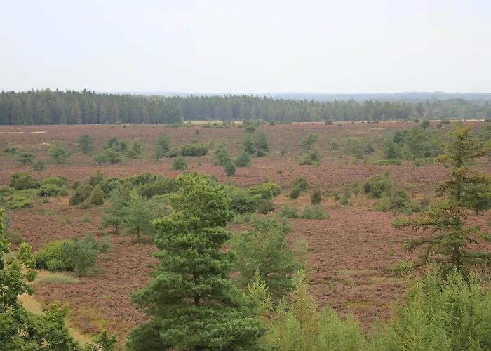 4 Person In Hovborg-by Traum