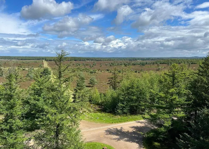 4 Person In Hovborg-by Traum Prázdninový dům