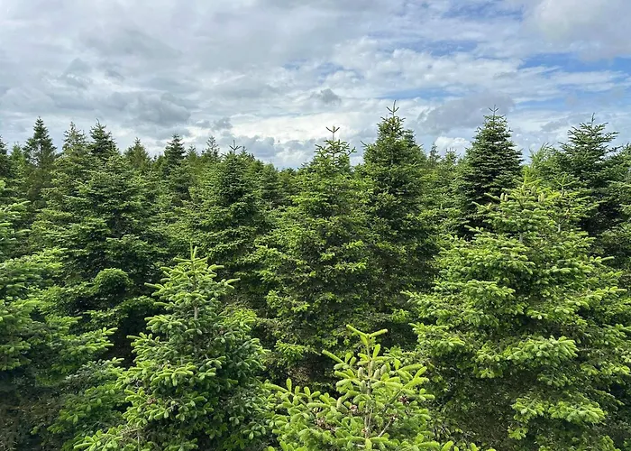 Prázdninový dům 4 Person In Hovborg-by Traum *