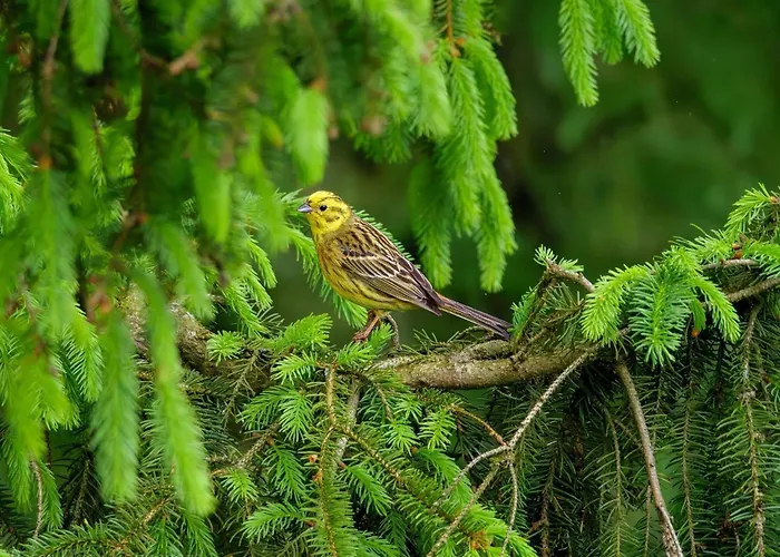 4 Person In Hovborg-by Traum