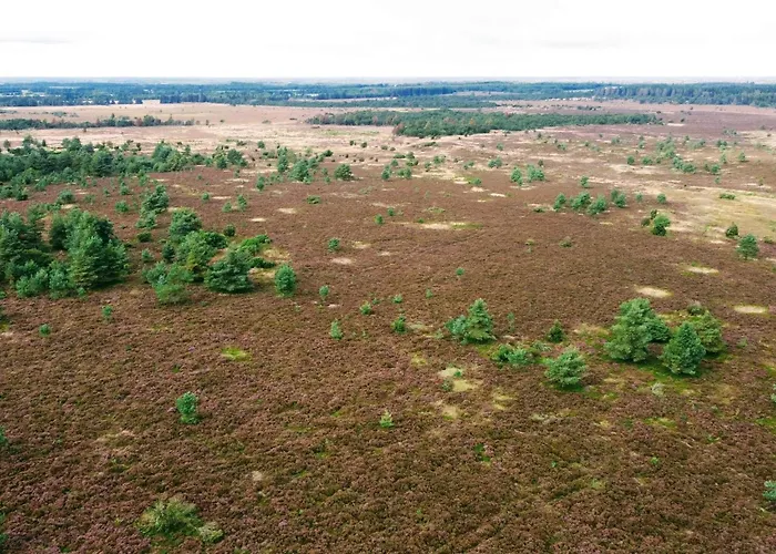 4 Person In Hovborg-by Traum *