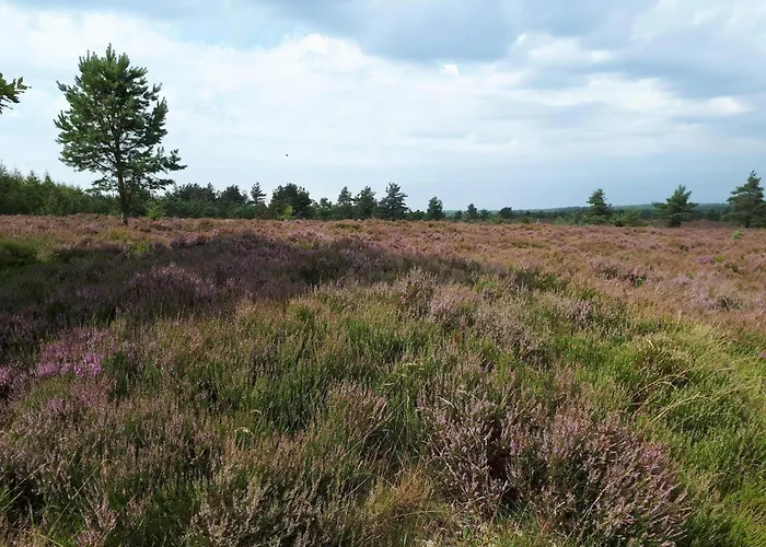 4 Person In Hovborg-by Traum Prázdninový dům *