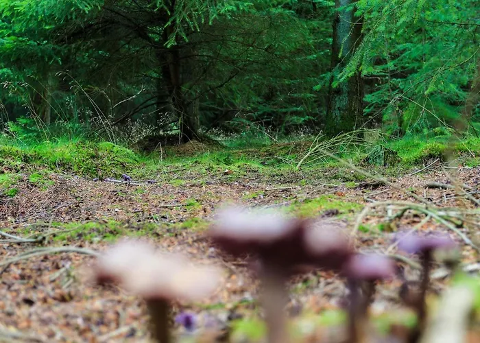 4 Person In Hovborg-by Traum Prázdninový dům Hovborg
