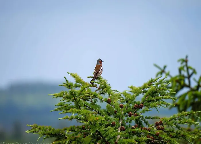 4 Person In Hovborg-by Traum Prázdninový dům