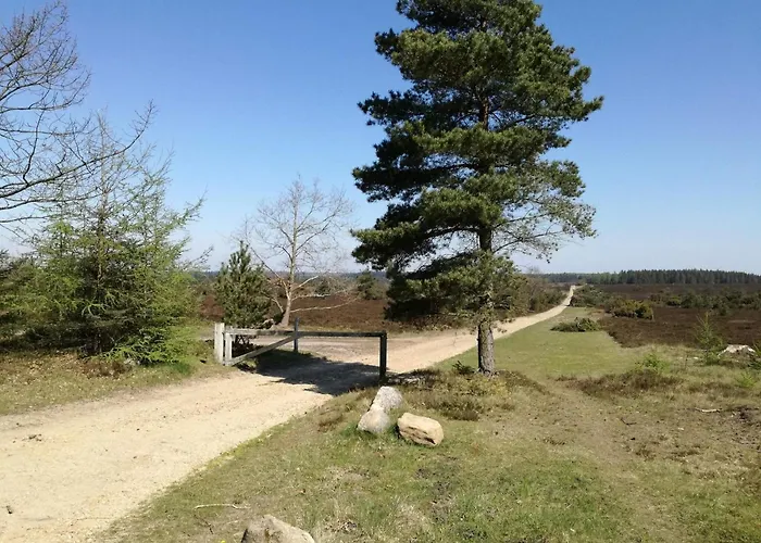 4 Person In Hovborg-by Traum